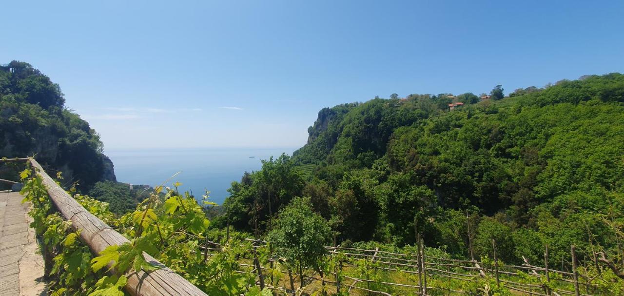 La Cicogna Bed and Breakfast Agerola Eksteriør billede